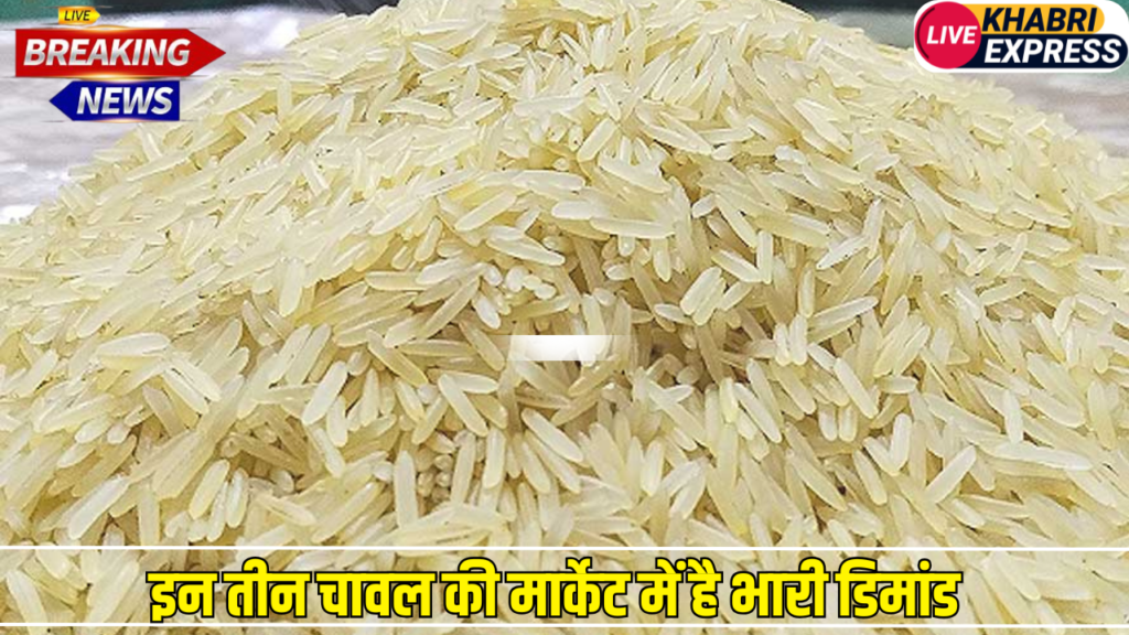 इन तीन चावल की मार्केट में है भारी डिमांड, कुछ ही महीनों में बन जाएंगे मालामाल