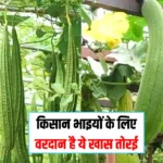 Agriculture News