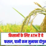 Agriculture News